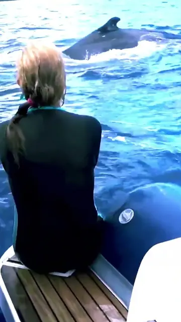A short of a woman on a boat watching a whale surface beside her
